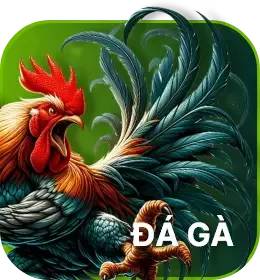 Đá gà