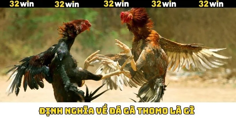 LMHT - Siêu Phẩm Đình Đám Trong Giới Thể Thao Điện Tử 8 Giải mã thông tin về hình thức chọi kê hấp dẫn