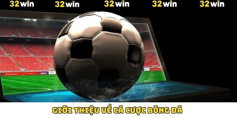 Giới thiệu bao quát về bóng đá tại 32Win