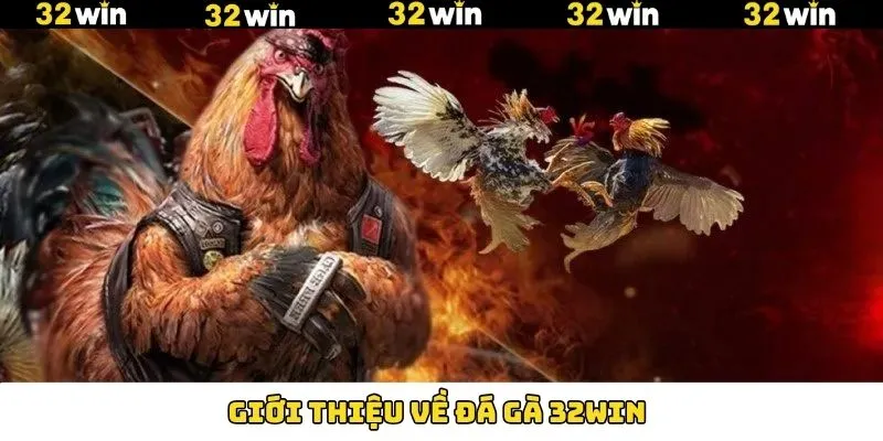 Nội dung tổng quan về sân chơi chọi kê hấp dẫn
