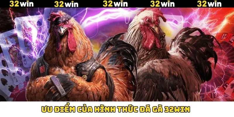 Ưu điểm vượt trội mà đá gà 32Win sở hữu