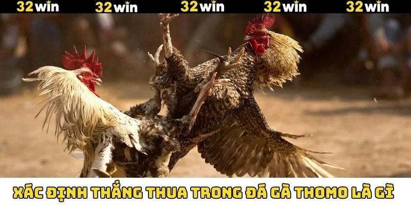 LMHT - Siêu Phẩm Đình Đám Trong Giới Thể Thao Điện Tử 9 Cách phân định thắng thua trong đá gà Thomo là gì
